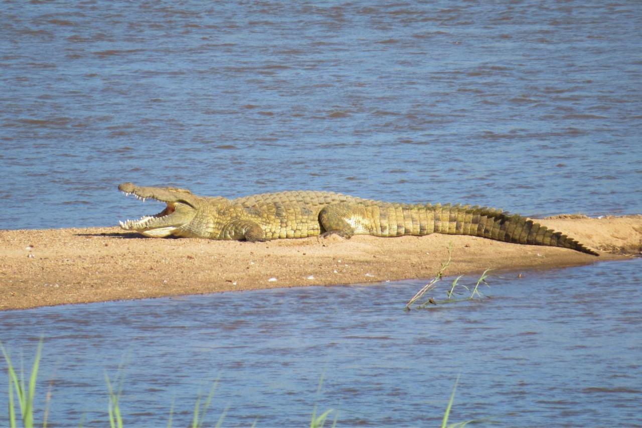 Crocodile Bridge Safari Lodge Komatipoort Dış mekan fotoğraf